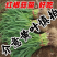 红根蒜苗产地看货论价保质保量欢迎订购量大从优