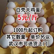 白壳大鸡蛋，5元每斤