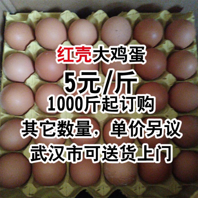 白壳大鸡蛋，5元每斤
