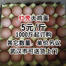红壳大鸡蛋，5元每斤