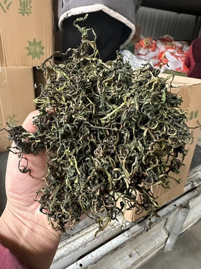 蒲公英茶花茶批发跑江湖地摊货源一手批发
