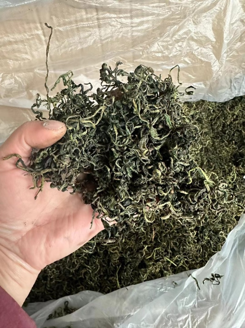 蒲公英茶花茶批发跑江湖地摊货源一手批发