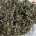 蒲公英茶花茶批发跑江湖地摊货源一手批发