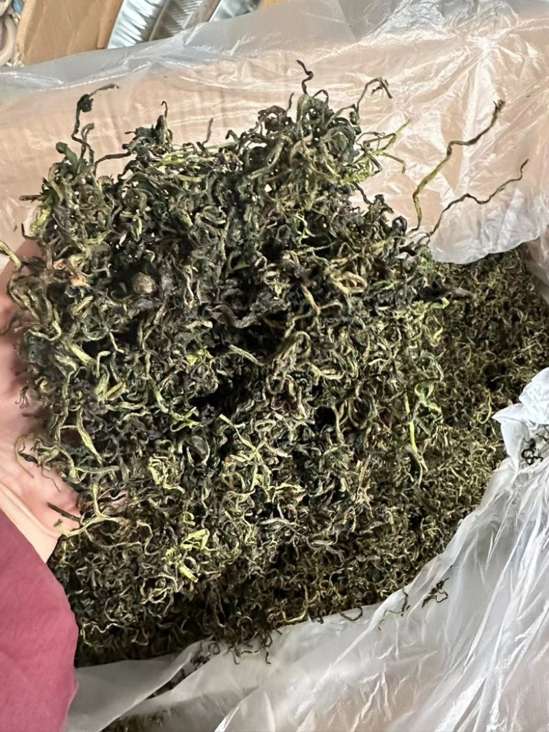 蒲公英茶花茶批发跑江湖地摊货源一手批发