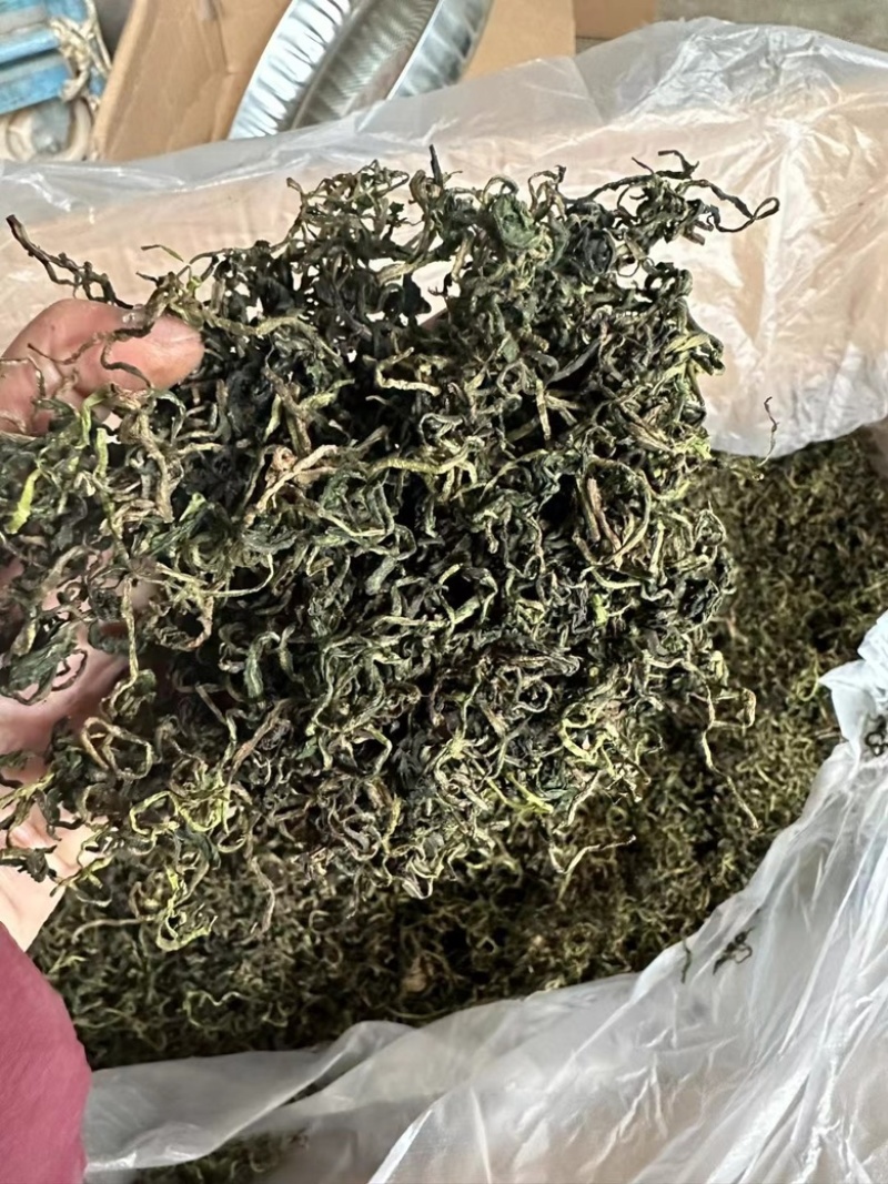 蒲公英茶花茶批发跑江湖地摊货源一手批发