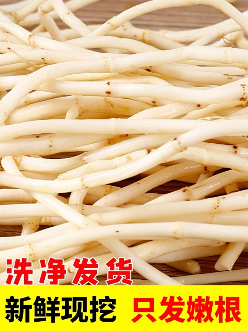 鱼腥草根鱼腥草产地看货论价保质保量欢迎订购