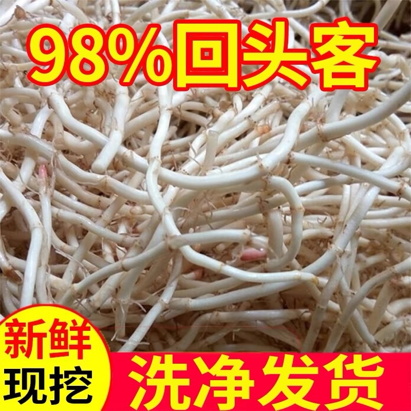 鱼腥草根鱼腥草产地看货论价保质保量欢迎订购