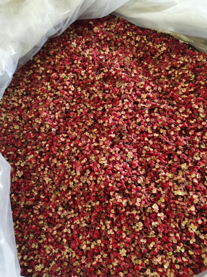 陇南正宗大红袍花椒，颗粒大，颜色鲜红，内口呈黄肉厚味醇
