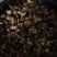 野生选育二代紫花三叉中宽叶白芨块茎苗