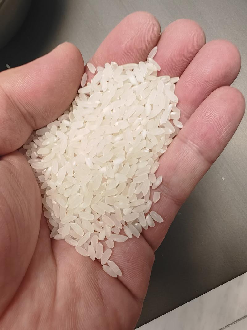 长粒香米开袋就有天然米香的米