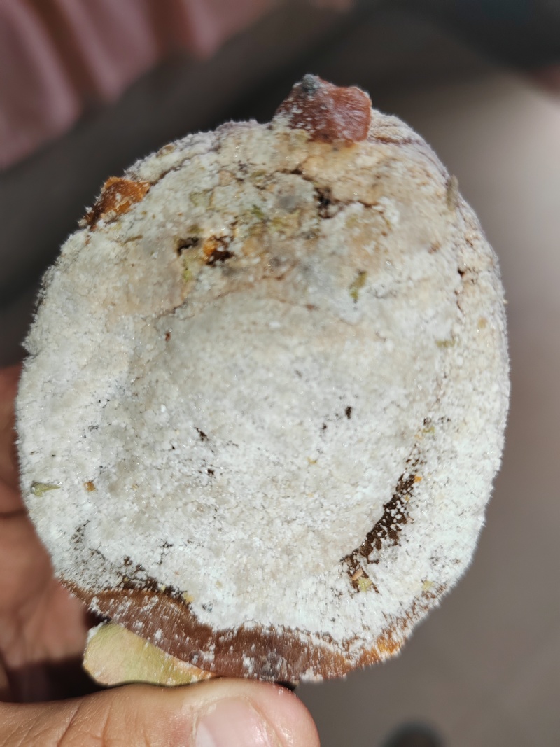 富平柿饼
