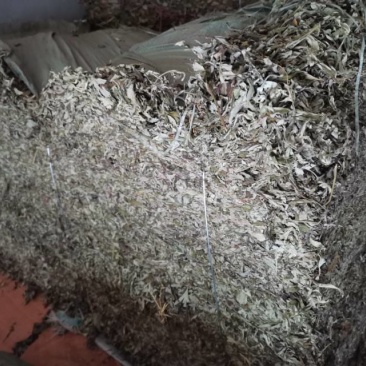 艾草叶，精品货，基地现货直发，保质保量，诚信经营