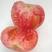 新开园天津本地水果西红柿酸甜沙瓤每天现摘提前预定