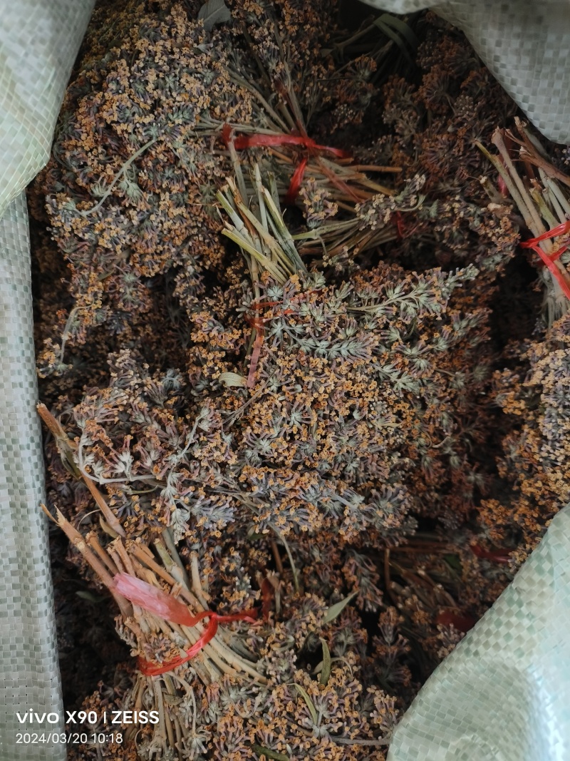密蒙花