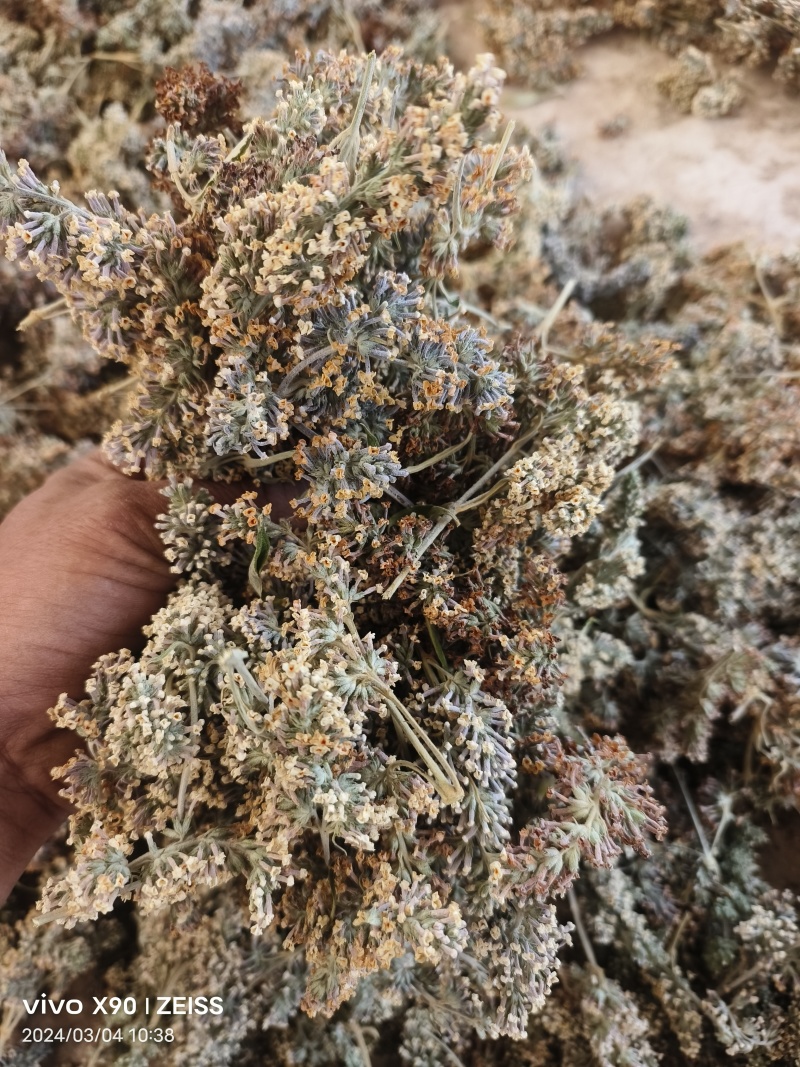 密蒙花
