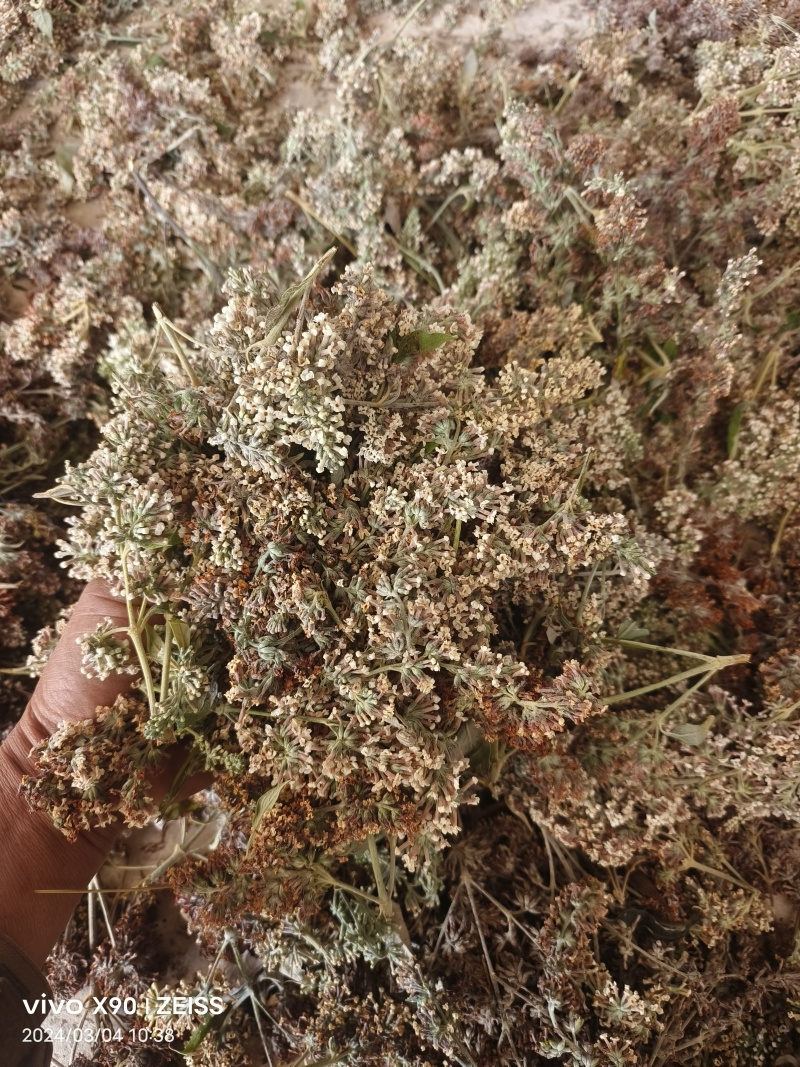 密蒙花
