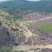 东北映山红达达香杜鹃花基地直发浩海浆果