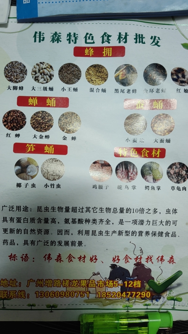 蚂蚱，稻蝗，蝗虫初级农产品一手批发货源