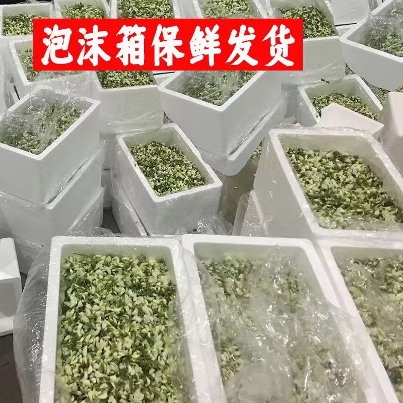 洋槐花4.15号开始发货承接各大平台订单，社区团购，商超