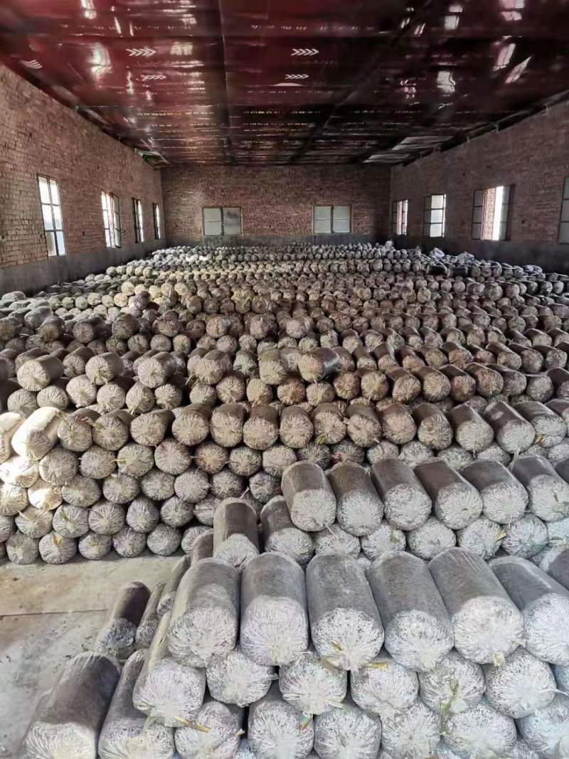人工菌大量供应新鲜发货，量大从优云南曲靖种植场直发