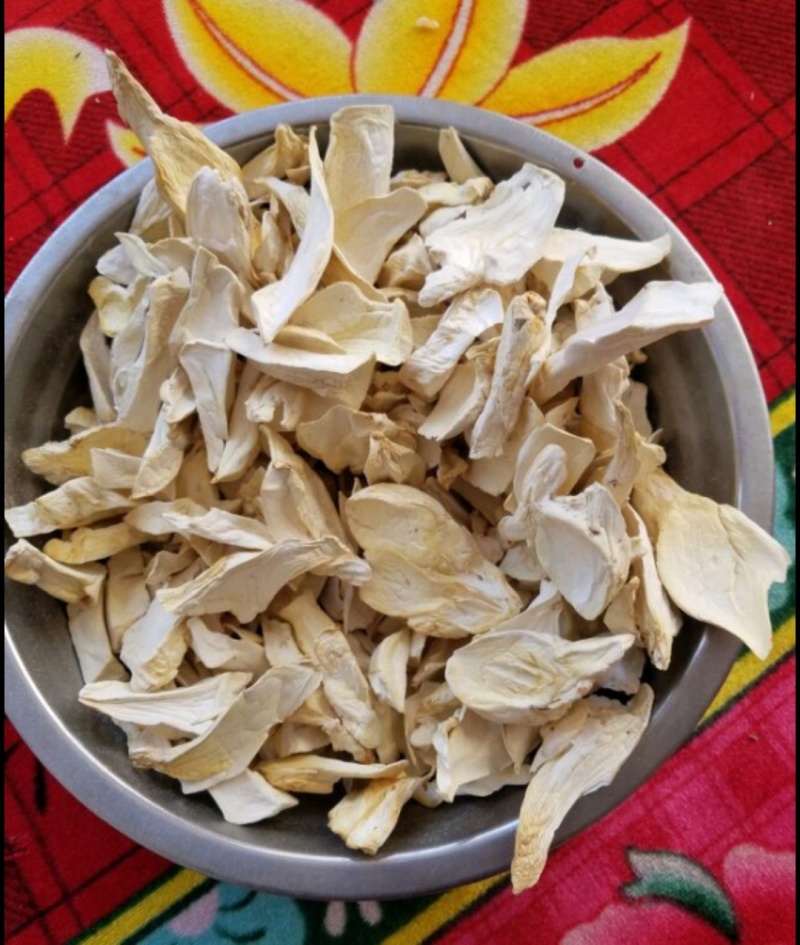人工菌大量供应新鲜发货，量大从优云南曲靖种植场直发