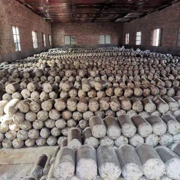 人工菌大量供应新鲜发货，量大从优云南曲靖种植场直发