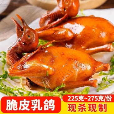 【脆皮乳鸽】批发225-275克乳鸽半成品5只包装酒楼超