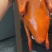【脆皮乳鸽】批发225-275克乳鸽半成品5只包装酒楼超