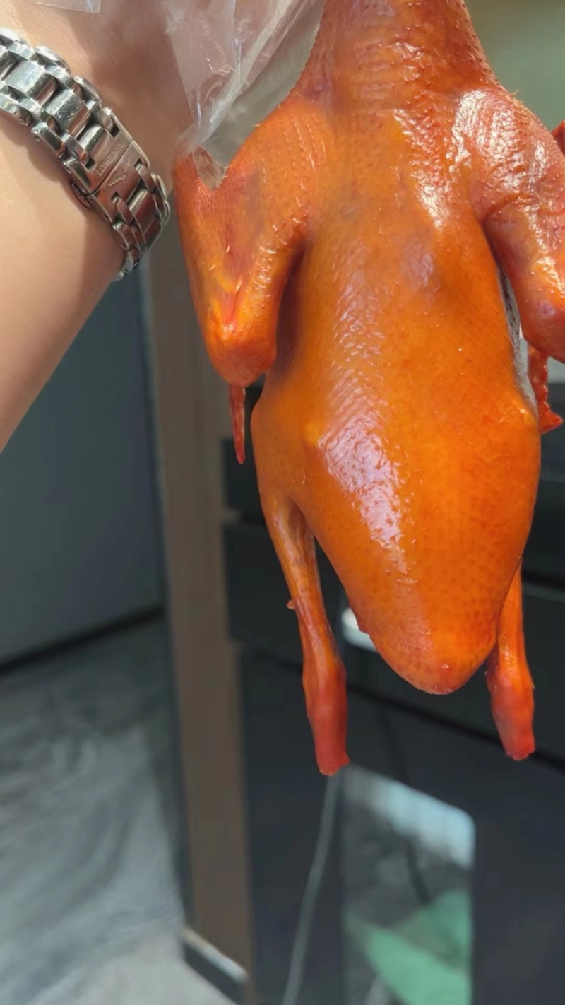 【脆皮乳鸽】批发225-275克乳鸽半成品5只包装酒楼超