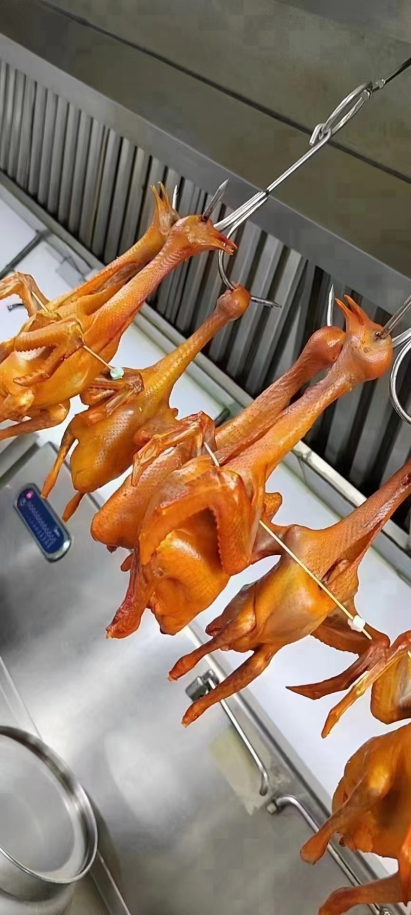 【脆皮乳鸽】批发225-275克乳鸽半成品5只包装酒楼超