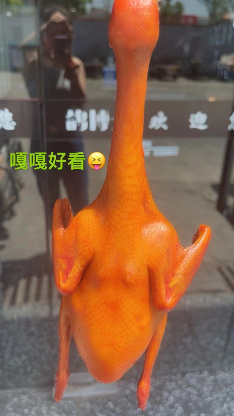【脆皮乳鸽】批发225-275克乳鸽半成品5只包装酒楼超
