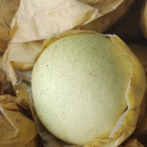 皇冠梨