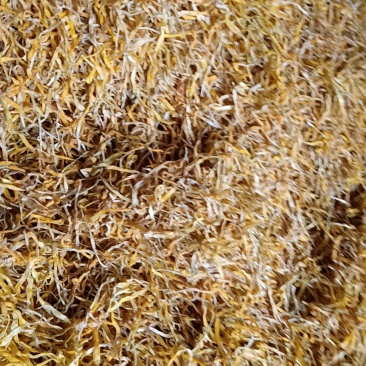 黄花菜，农家自晒黄花菜，干度好颜色漂亮泡发率高