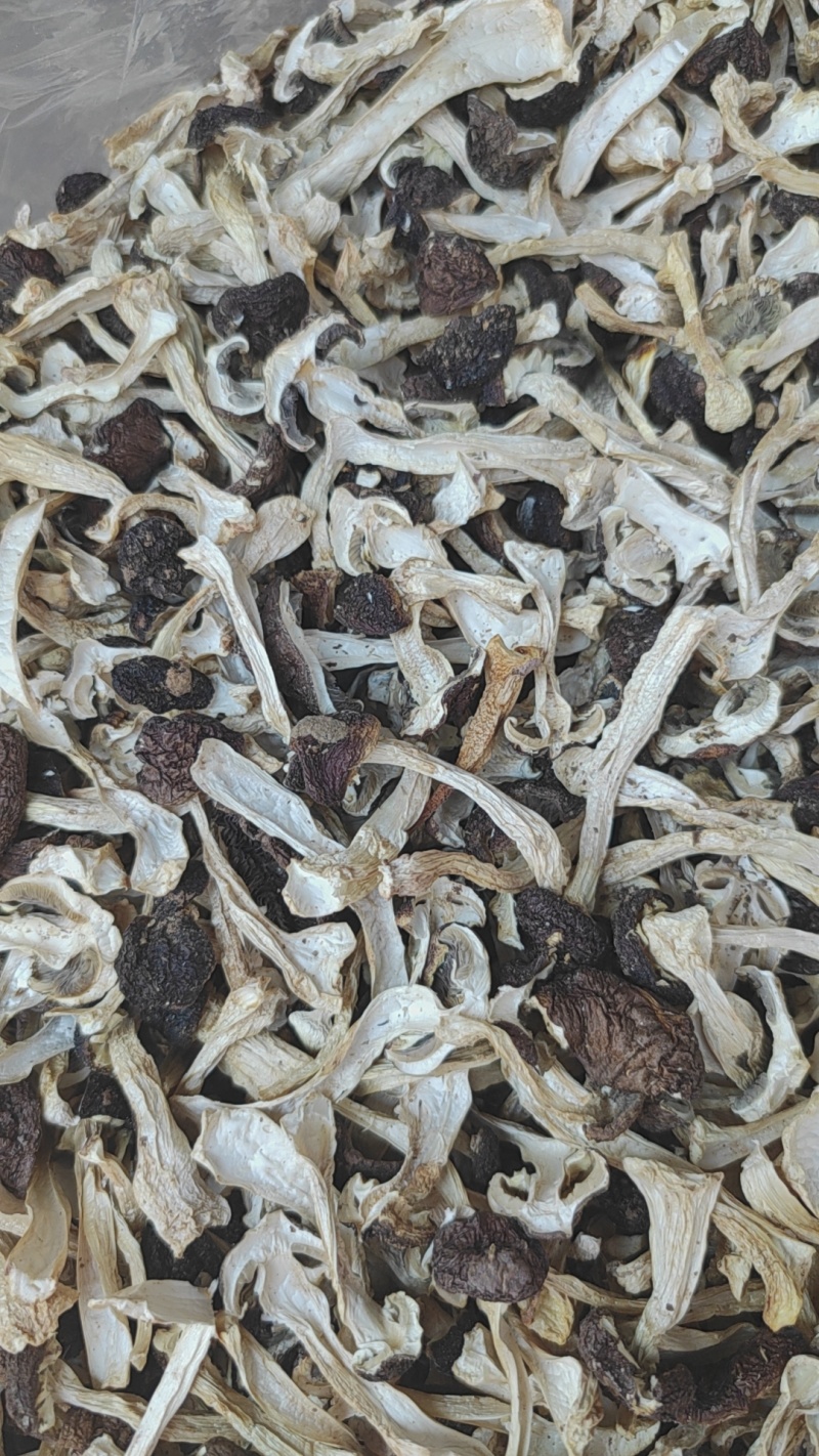 云南基地直供赤松茸干片