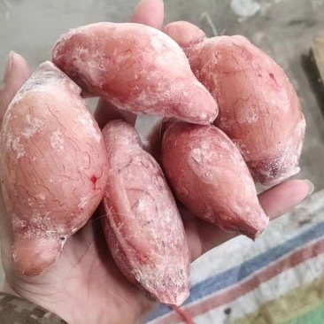 羊宝