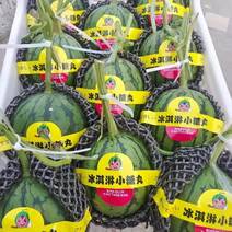 2k西瓜，小糖丸系列小吊瓜潍坊产区大棚种植，持续供货