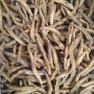 淡水鱼干咸鱼干大量有