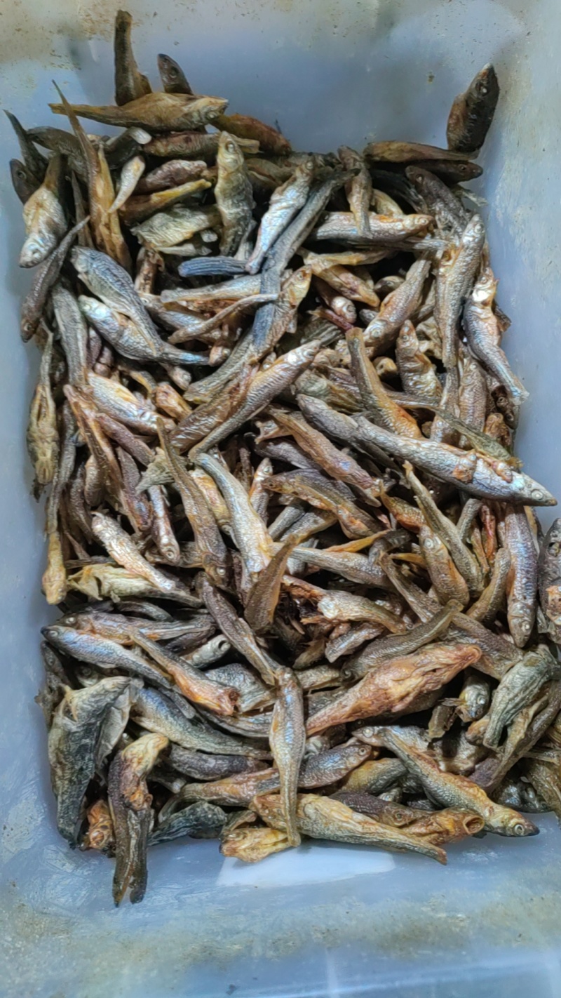 淡水鱼干咸鱼干大量有