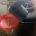 农家自酿白米酒好喝散瓶装纯粮食酒