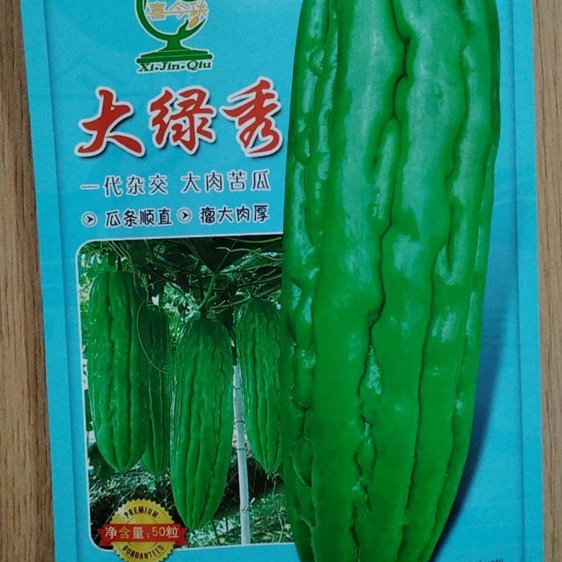 大绿秀苦瓜早中熟瘤大肉厚皮色油绿叶片小结