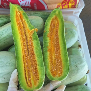 实力供货精品羊角蜜头茬羊角蜜欢迎咨询