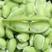 山东毛豆品质保证产地直发可视频看货欢迎咨询