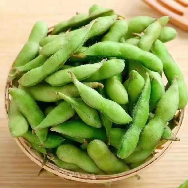 山东毛豆品质保证产地直发可视频看货欢迎咨询