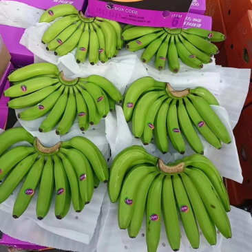 精品特价二级蕉，品质邦邦硬，只做精品，回头客，