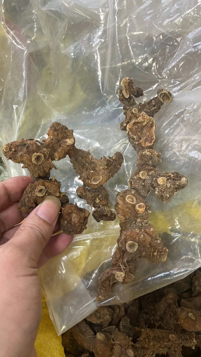 纯野生姜型黄精，结多且密，碎小已挑出精选中大个
