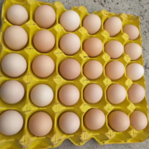 四川广安农家土货鸡蛋，质量保证可全国发货，欢迎来电咨询