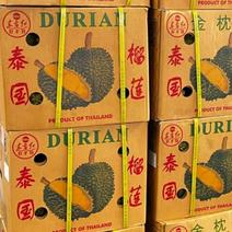 泰国金枕榴莲一手货源批发可以发样品全国发货物流配送