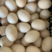 四川鹅蛋品质保证产地直发可视频看货欢迎咨询