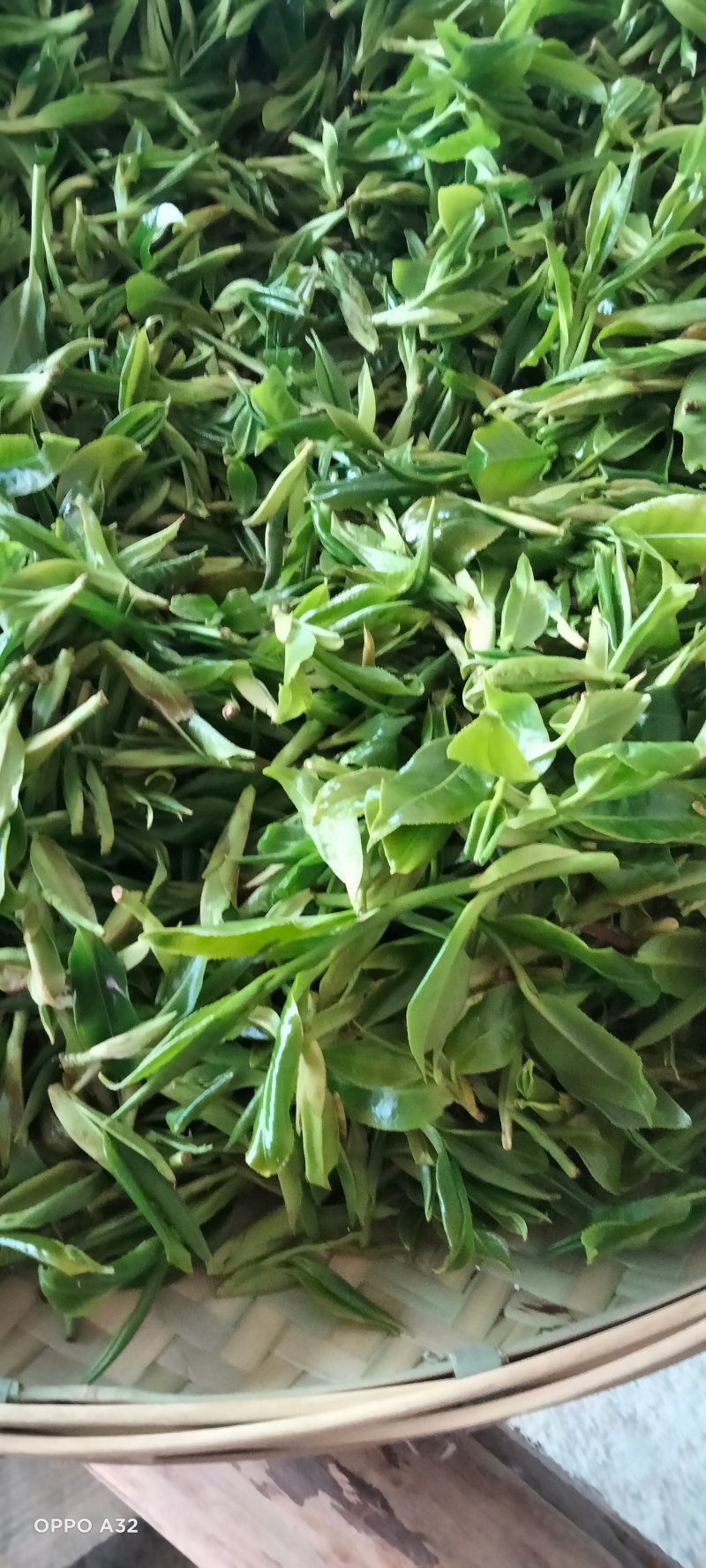 古树红