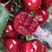 大樱桃产地大量现货，美早，红灯，先锋。品种齐全。